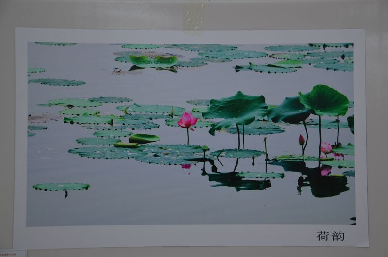 校纪委举办2014年校园廉洁文化书画摄影作品展