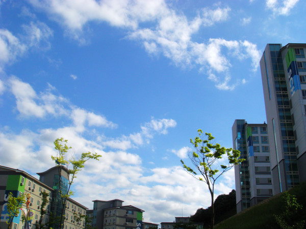 顺天乡大学校园一角