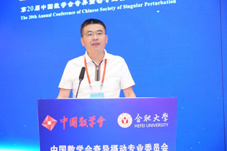 合肥大学举办“中国数学会奇异摄...